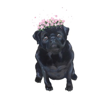 Posy Pug - PRINT