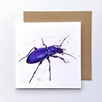 Violet Ground Beetle Card