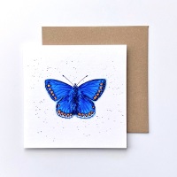 Common Blue Butterfly Card