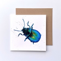 Tansy Beetle Card