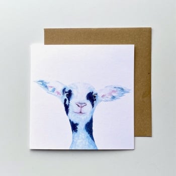 Pirate- Lamb CARD