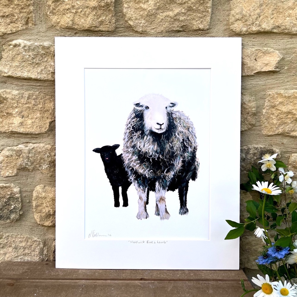 Herdwick Ewe and Lamb PRINT