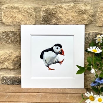 PACING PUFFIN PRINT