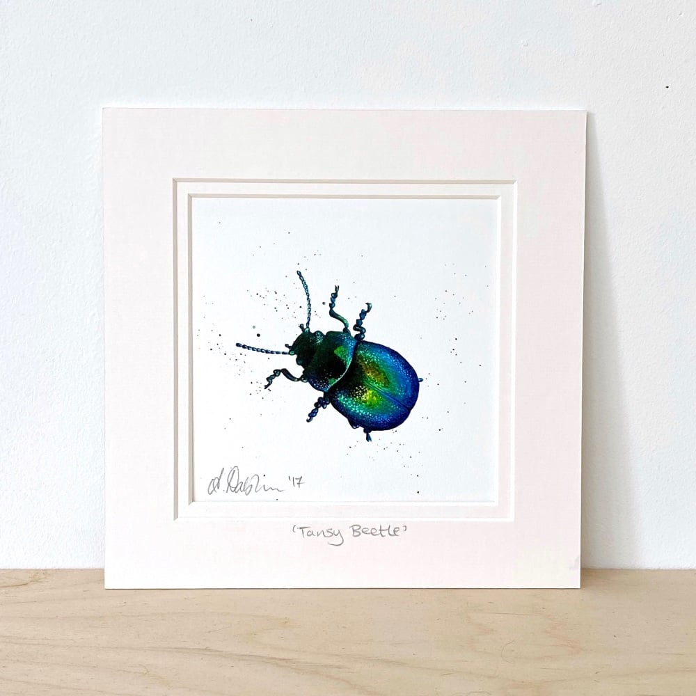 Tansy Beetle Mini Print