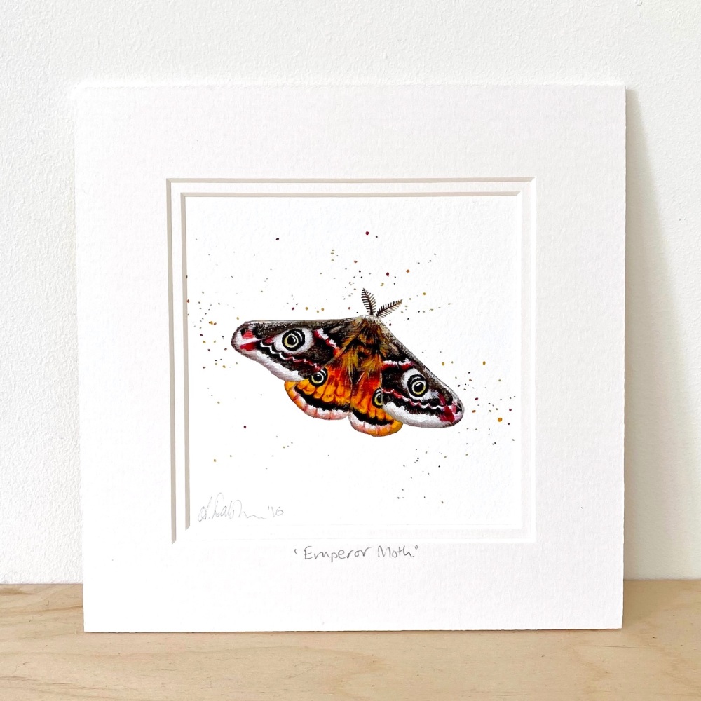 Emperor Moth Mini Print