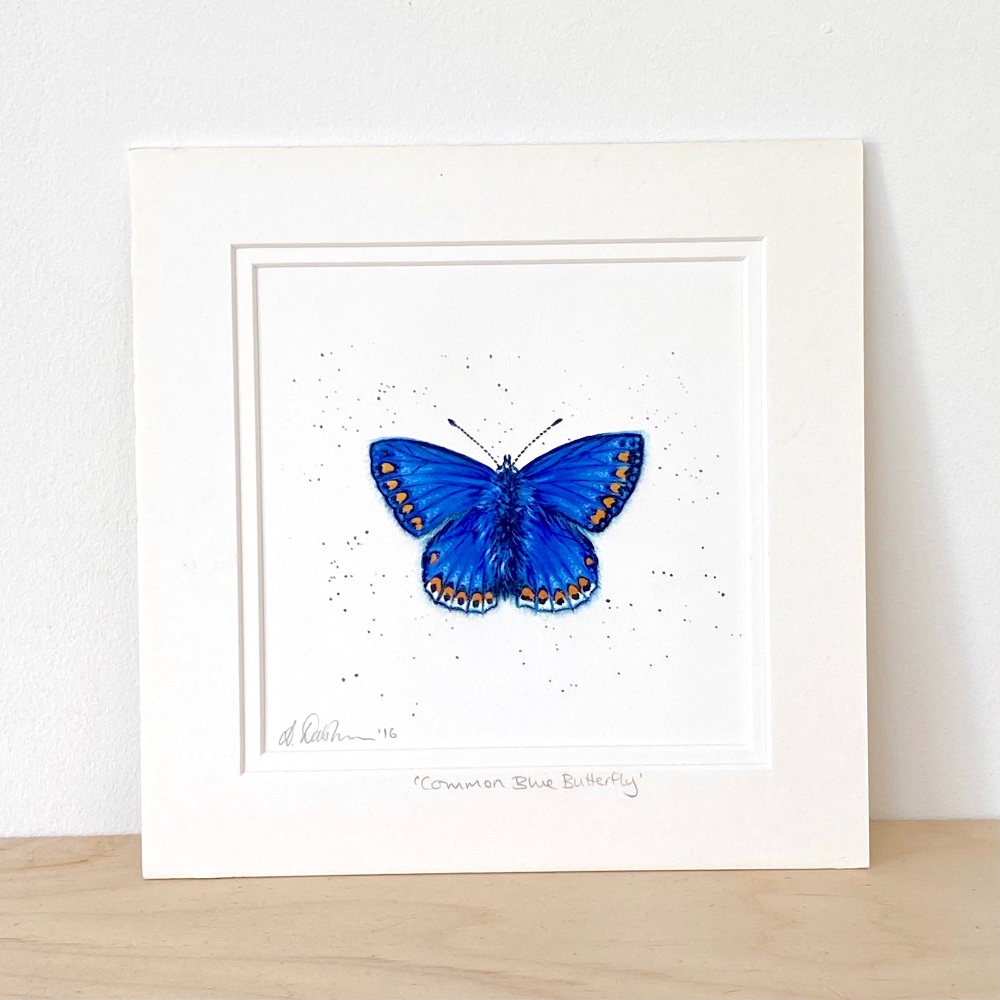Common Blue Butterfly Mini print