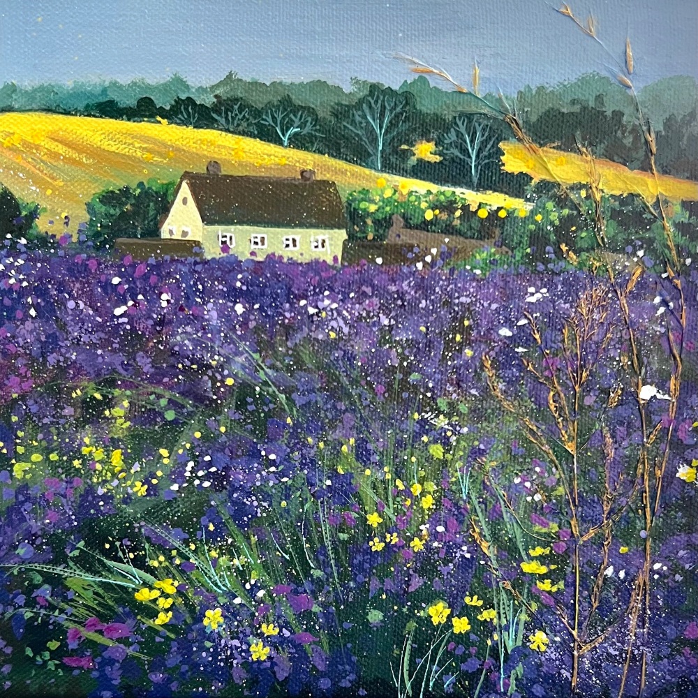 Snowshill Lavender