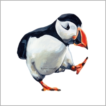 Pacing Puffin Wildlife Art Print