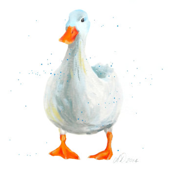 Jemima Duck Art Print
