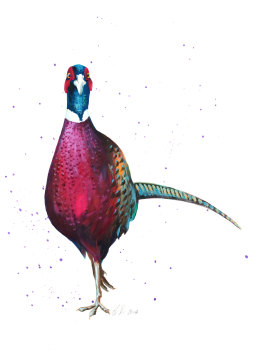 Fearless Pheasant Wildlife Art Print