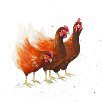 Chickens- Art Print