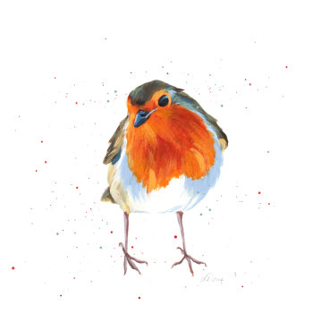 Peter- Peering Robin Art Print