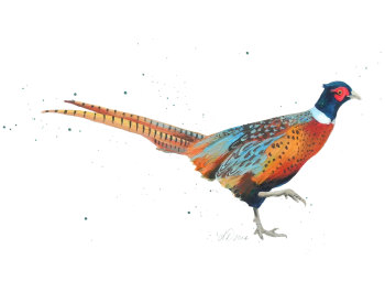 Winter Stroll Pheasant Wildlife Art Print