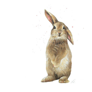 Hot Cross Bunny Art Print