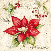 Poinettia, 25 x 25cm (35b)