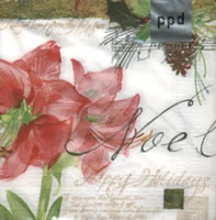 Amaryllis de Noel, 33 x 33cm (7a)
