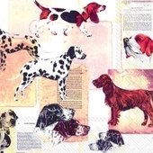 Best Dog Breeds 25x25 (14b)