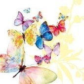 Flying Magic White 25x25 (25b)
