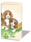 Four Doggies Handkerchief (2c)