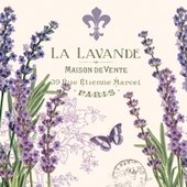 La Lavande 25x25 (28b)