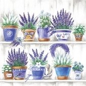 Lavender Range 25x25 (17b)