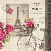 Velo Parisien 25x25 (29b)