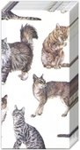 My Favourite Cat Handkerchief (1c)