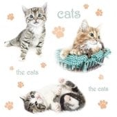 Cats 33 x 33cm (2a)