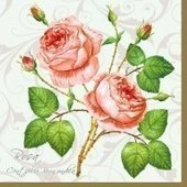 Roses of White 25x25 (8b)