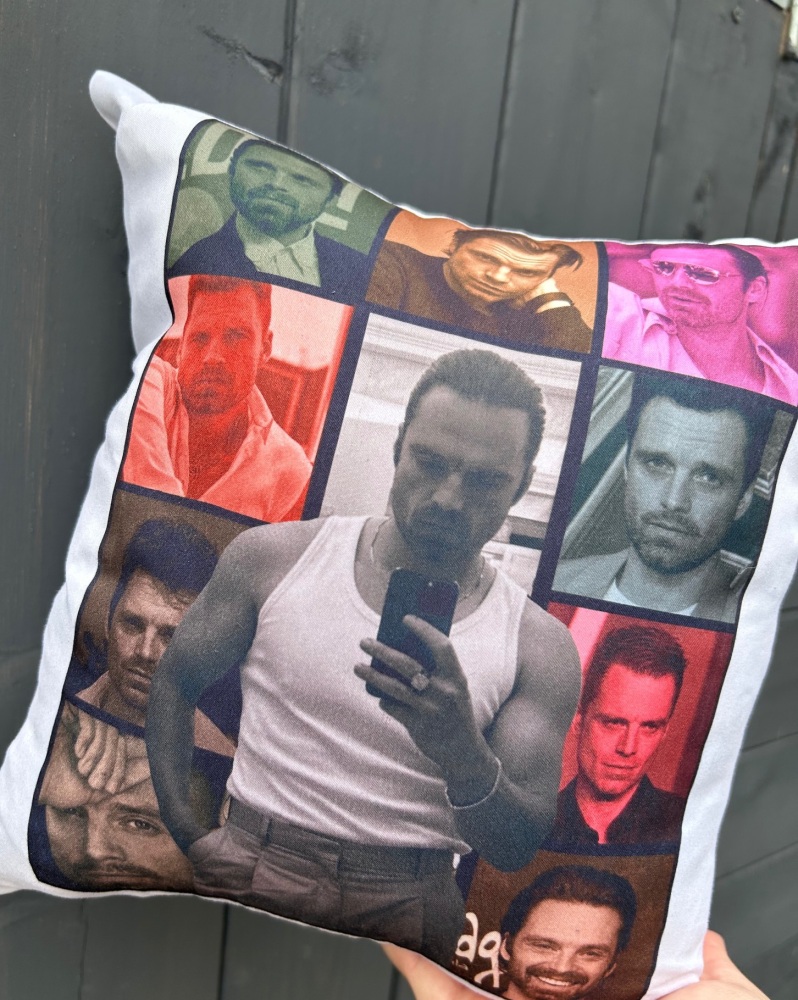Sebastian Stan Eras Cushion