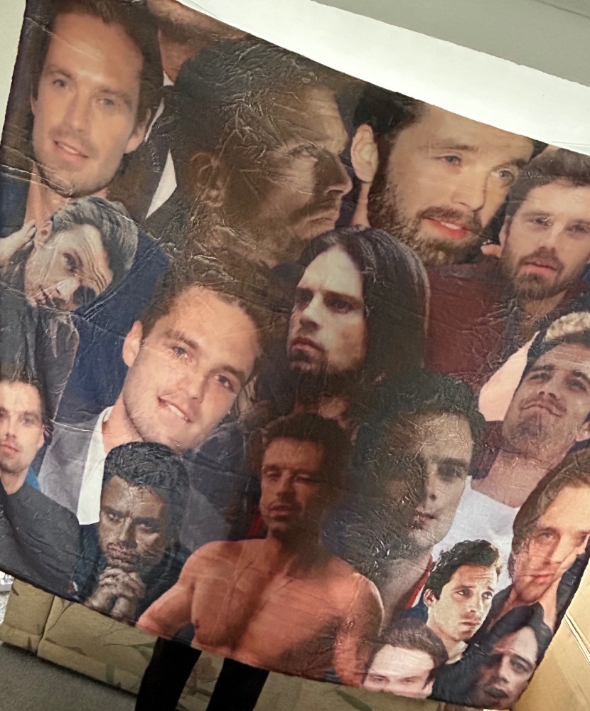 Sebastian Stan Fleece Blanket