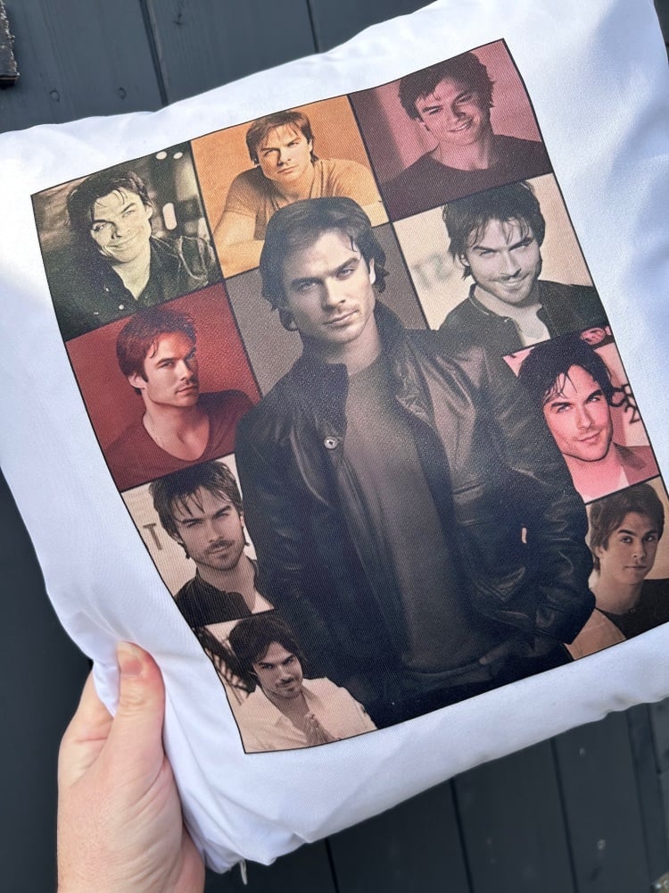 Damon Salvatore Eras Cushion