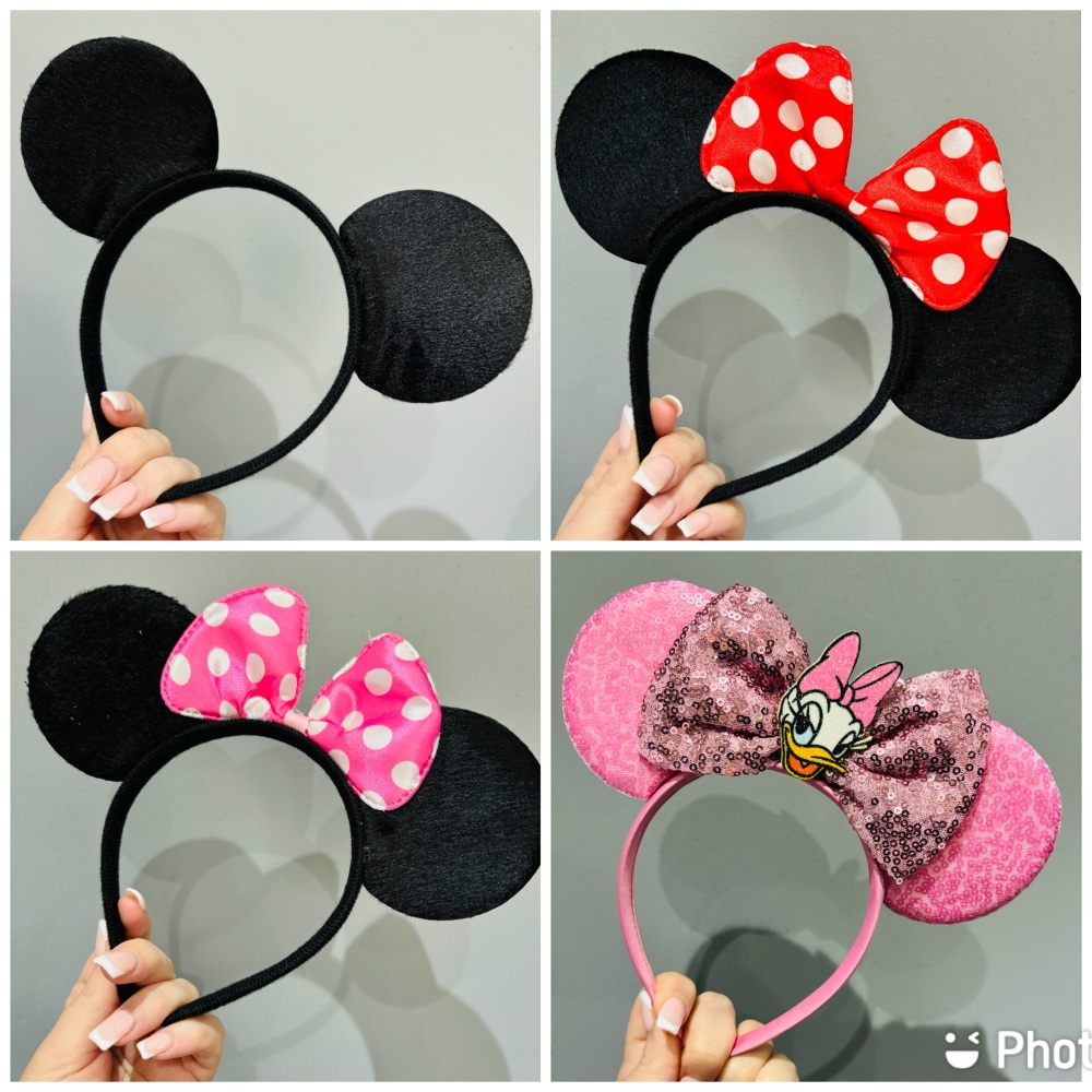 Mickey & Friends Ears