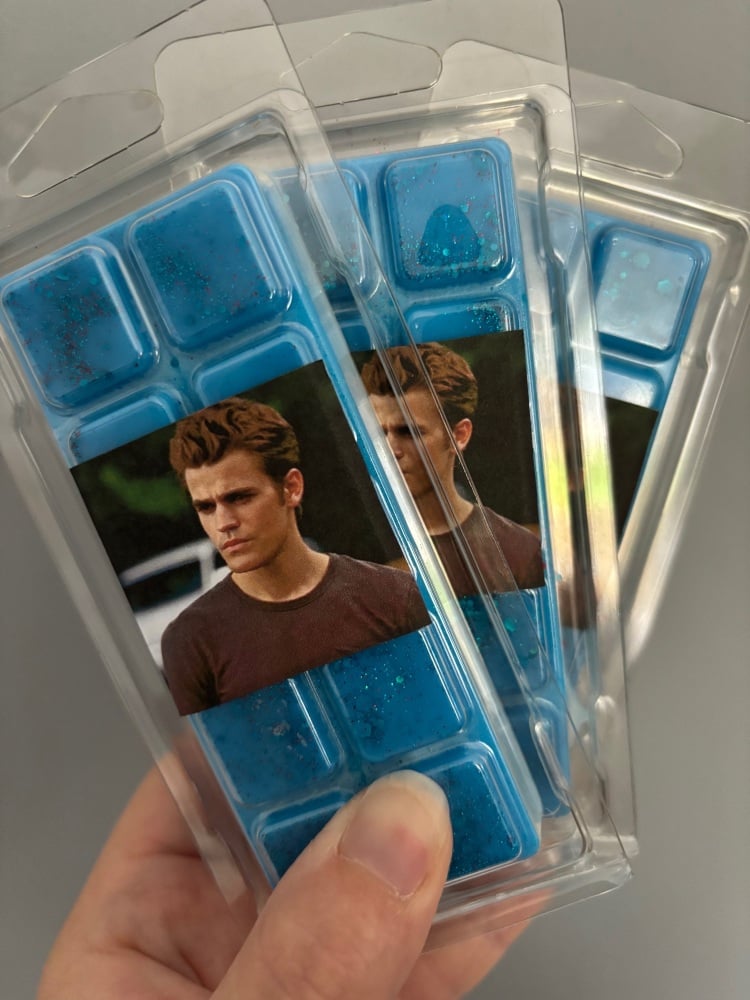 Stefan Salvatore Wax Melt Bar