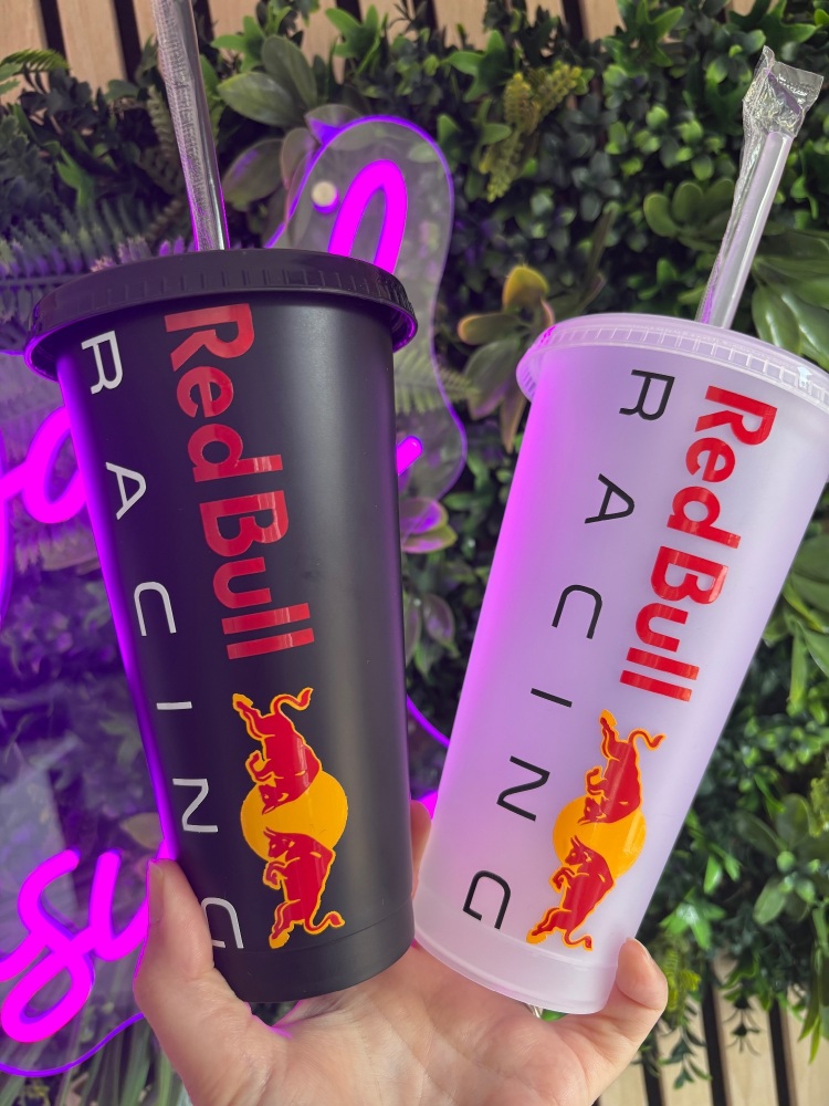 Red Bull F1 Cold Cup