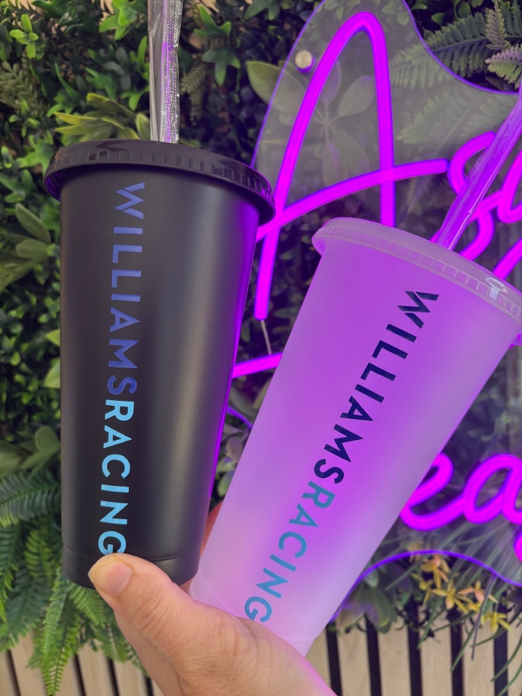 Williams F1 Cold Cup