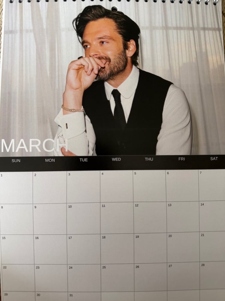 Sebastian Stan Wall Calendar 2026