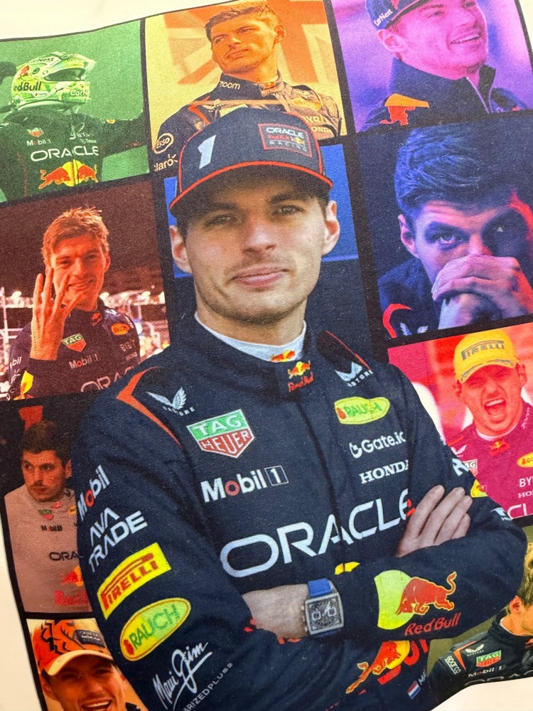 Max Verstappen Eras Cushion