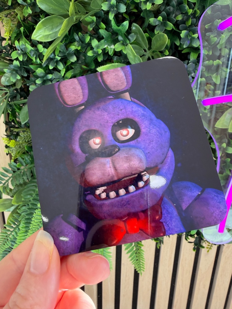 FNAF Coaster
