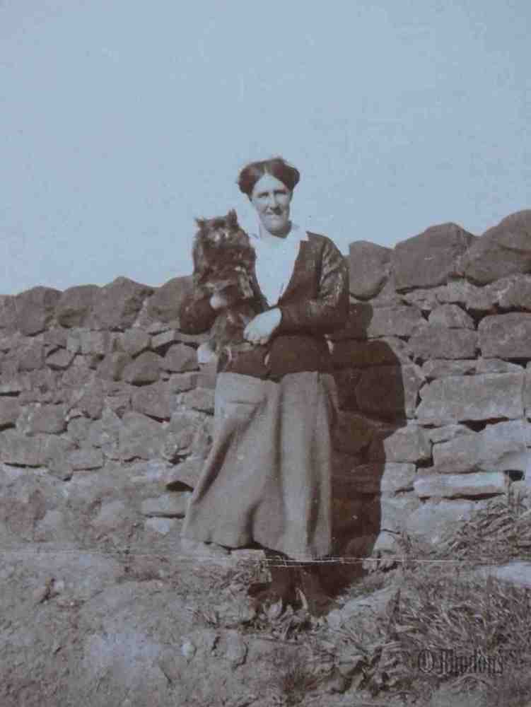 Old Photo - Lady With Dog - Early 1900s