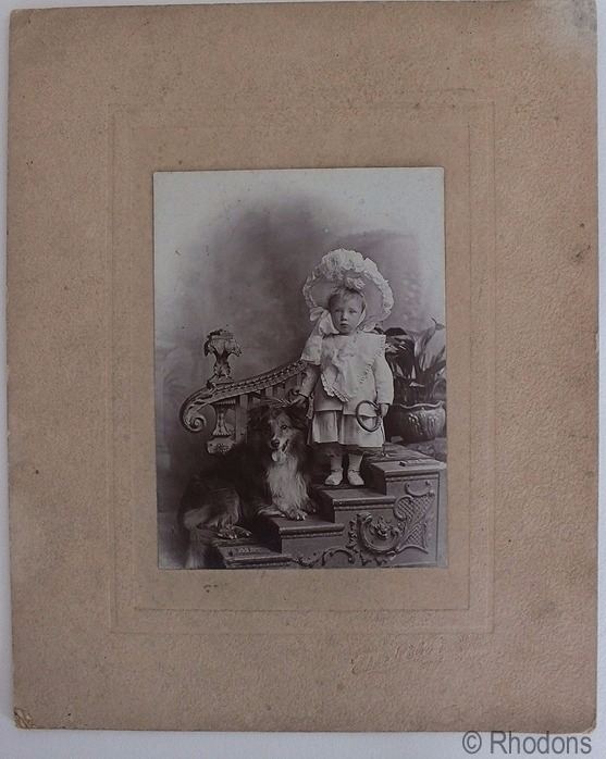 Victorian Portrait Photo- Young Child With Dog - Edwards & Co, Stratford, Forest Gate, East Ham, London