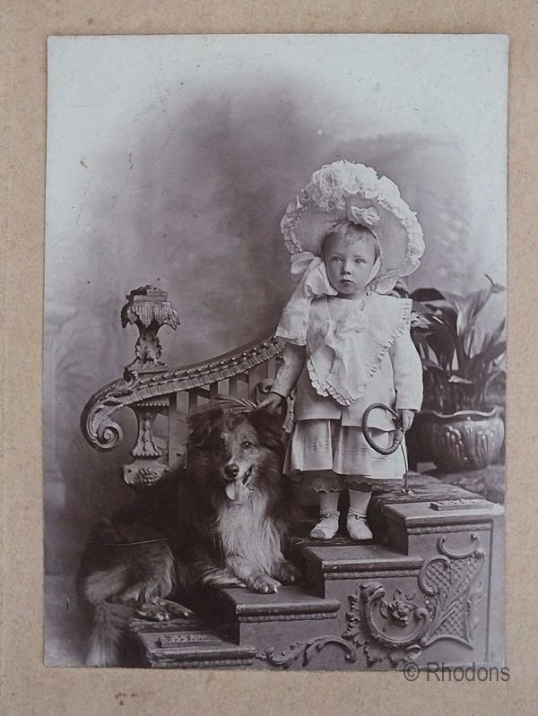 Victorian Portrait Photo- Young Child With Dog - Edwards & Co, Stratford, Forest Gate, East Ham, London