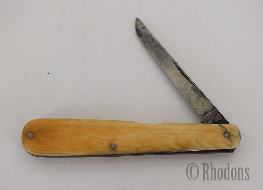 Antique Bone Handle Folding Bistoury / Pocket Knife, Gardner, Edinburgh