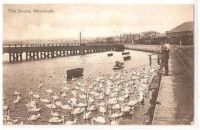 The Swans At Weymouth, Dorset, 1904 Postcard