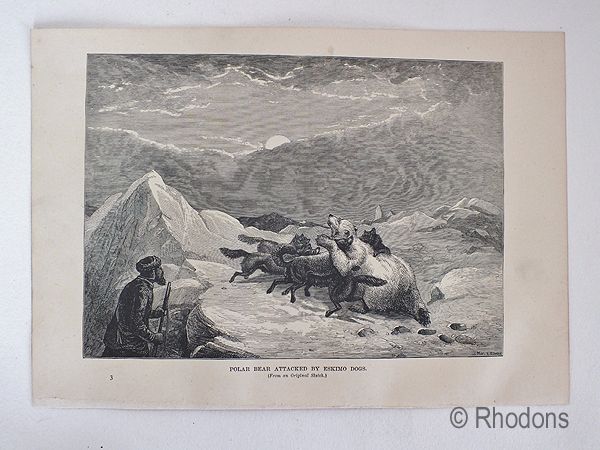Devils Castle, Franz Joseph Fjord, East Greenland - 19th Century Arctic Region Print