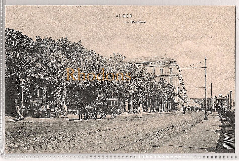 Le Boulevard, Algiers -  Early 1900s Street View Picture Postcard