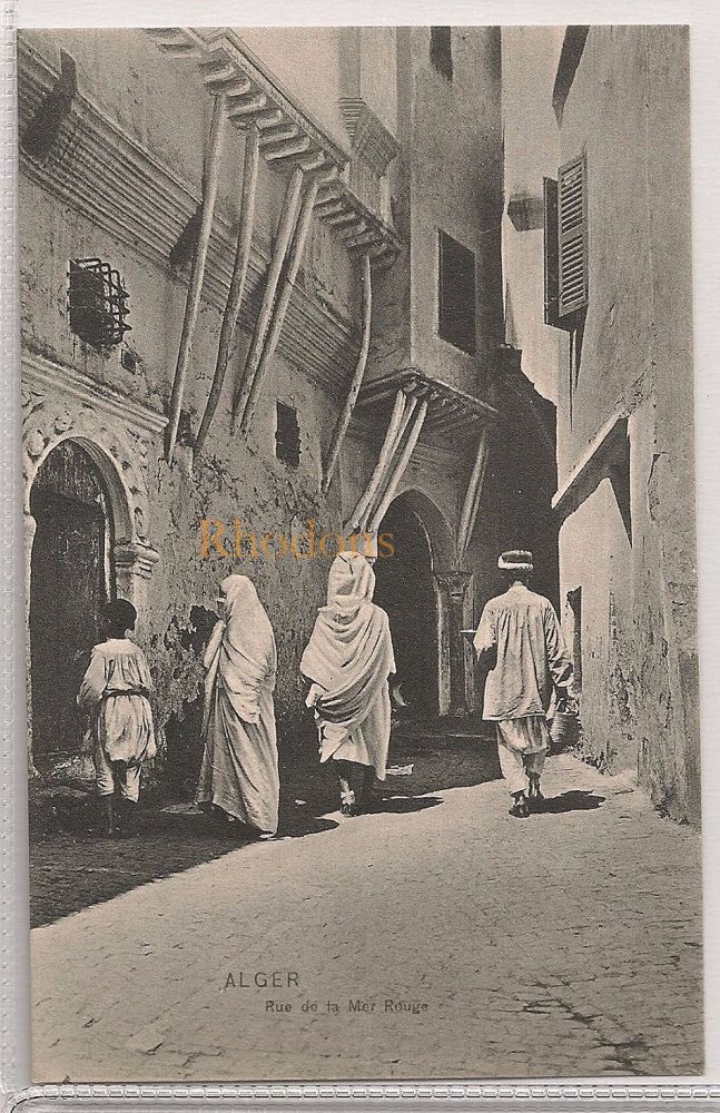 Rue de la Mer Rouge Algiers - Early 1900s Street View Postcard 