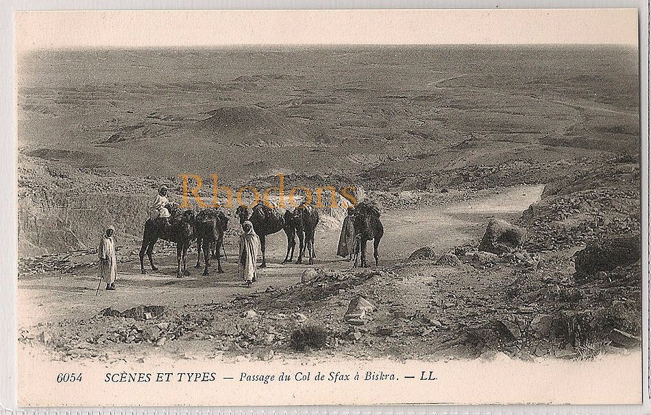 Algeria: Scènes et Types-Caravane, Passage du col de Sfax à Biskra. Vintage Postcard