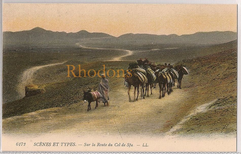 Algeria: Scenes Et Types Sur La Route Du Col De Sfa. Early 1900s Postcard 