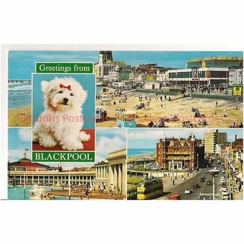 Greetings From Blackpool, 1970s Multiview Postcard
